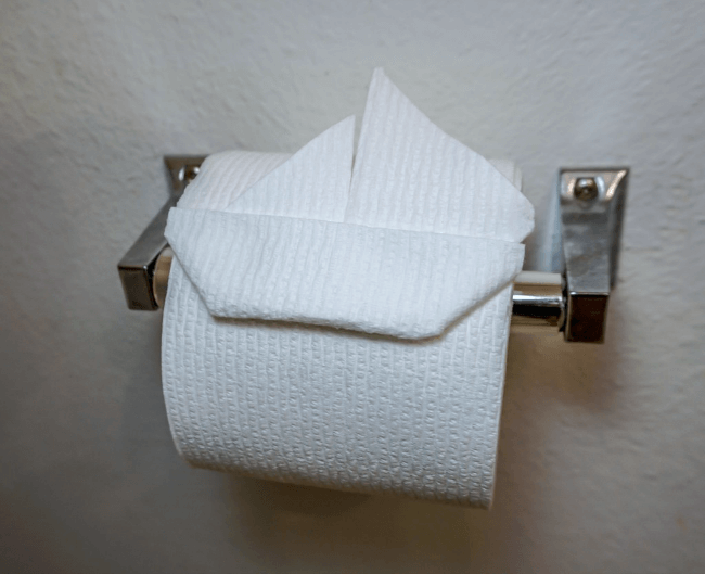 Toilet Paper Sail Boat 650