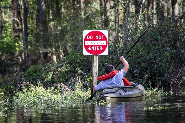 kayaking shingle creek (1)