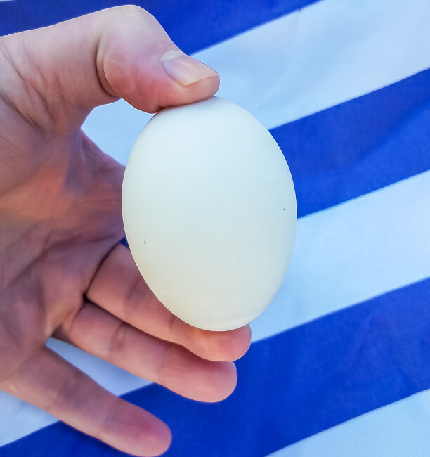 Spice Up Breakfast With Balut Live And Let Blog spice-up-breakfast-with-balut-live-and-let-blog